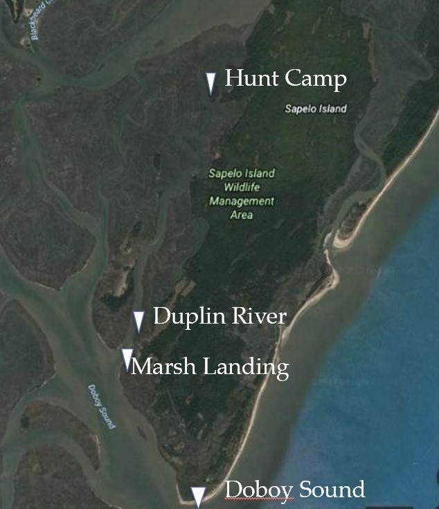 Stingray Locations 