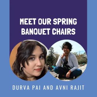 Spring Banquet Chairs 