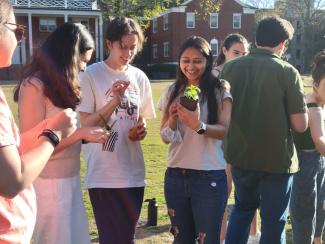 Plant Swap