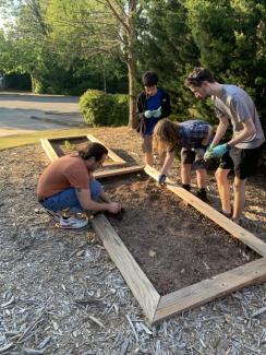 spring planting