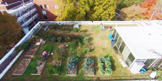 Geography Building Rooftop Garden