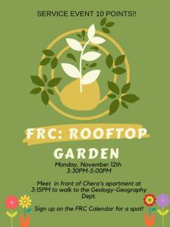 Rooftop Gardening 11.12
