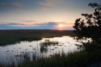 South Sapelo