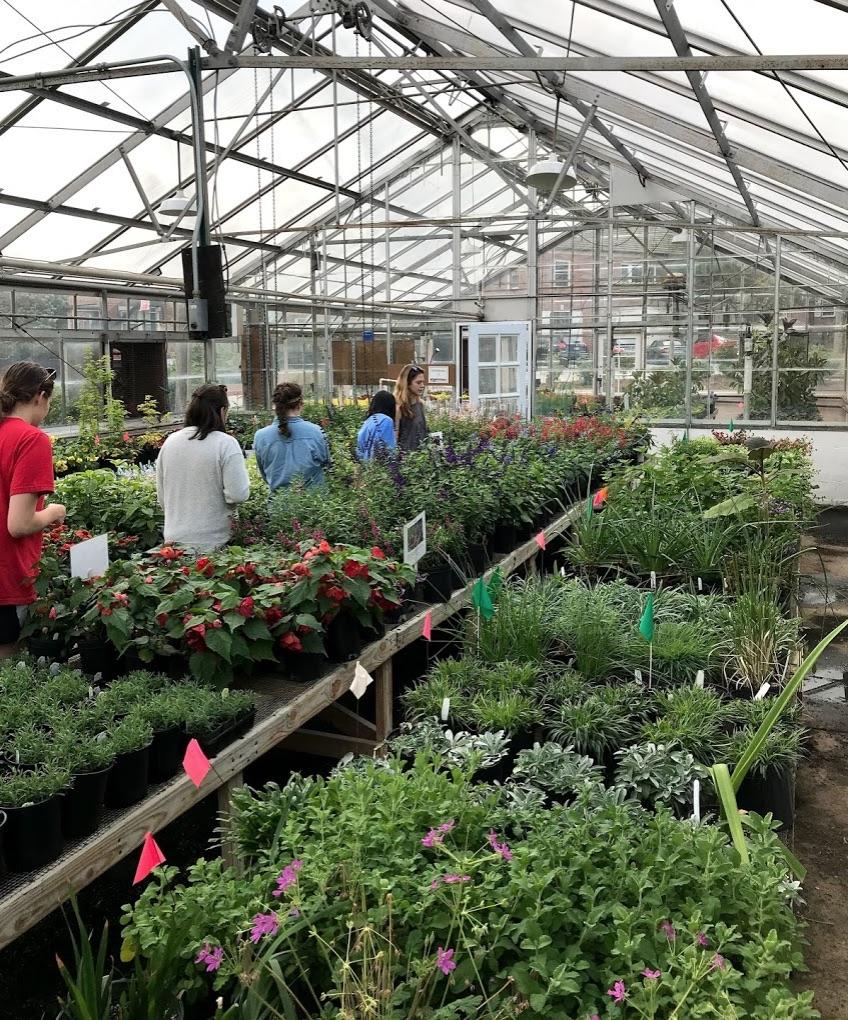 Inside Trial Garden Greenhouse