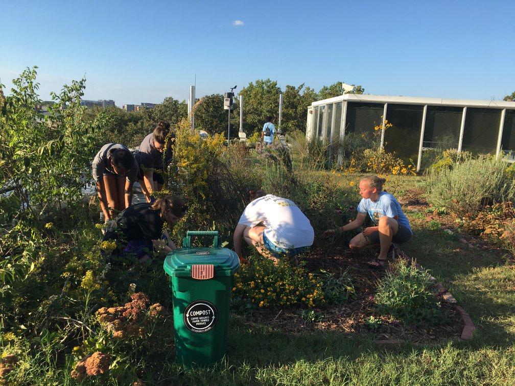 Working at the Rooftop Garden