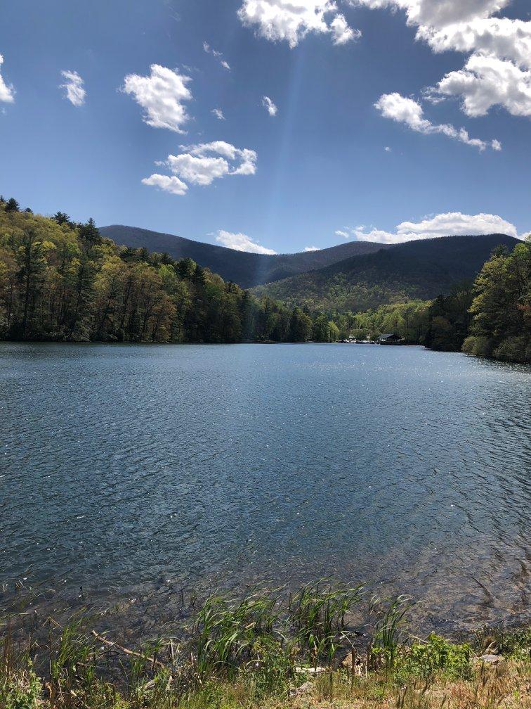 Vogel State Park