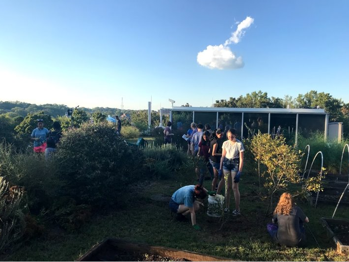 FRC members beautify the Geology/Geography rooftop garden