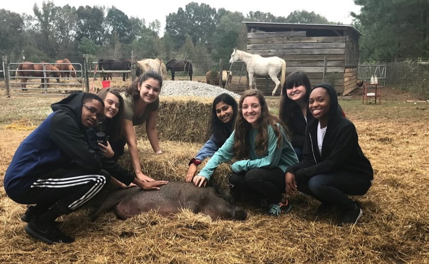 FRC members volunteer at Sweet Olive Farm