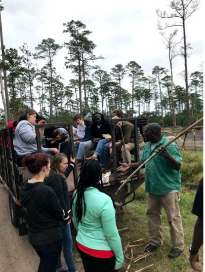 Hog Hammock service learning at Sapelo