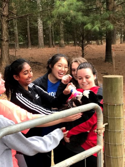 FRC members feed baby animals at Sweet Olive Farm