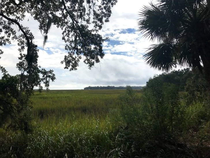 Sapelo Island