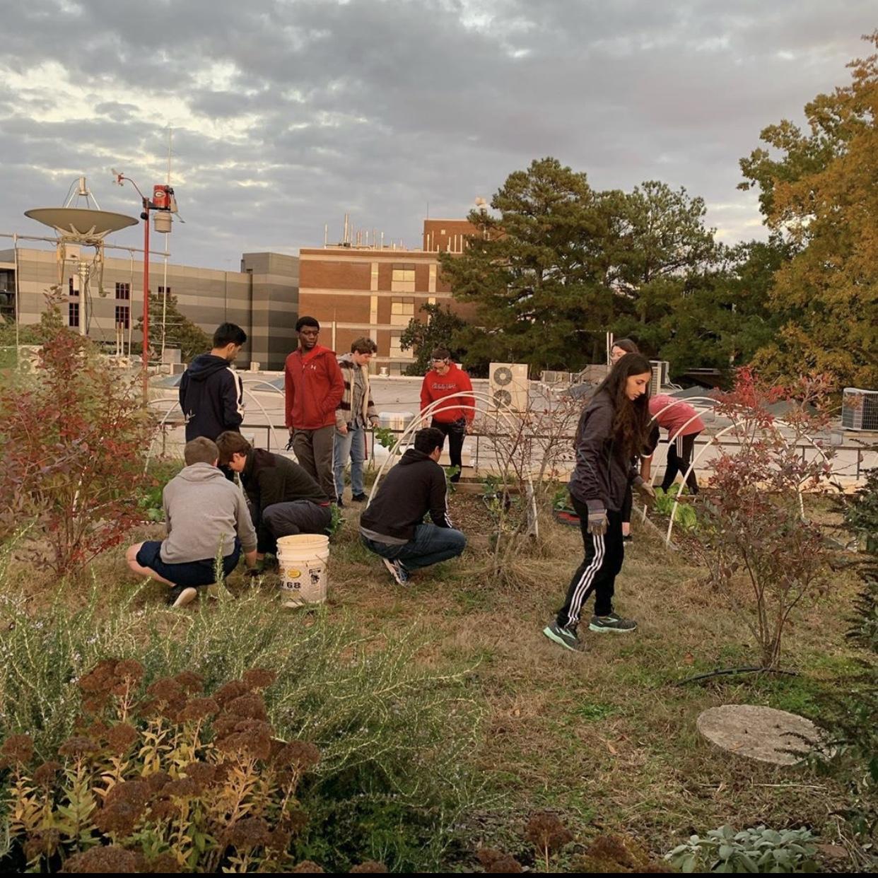 Service event at rooftop garden