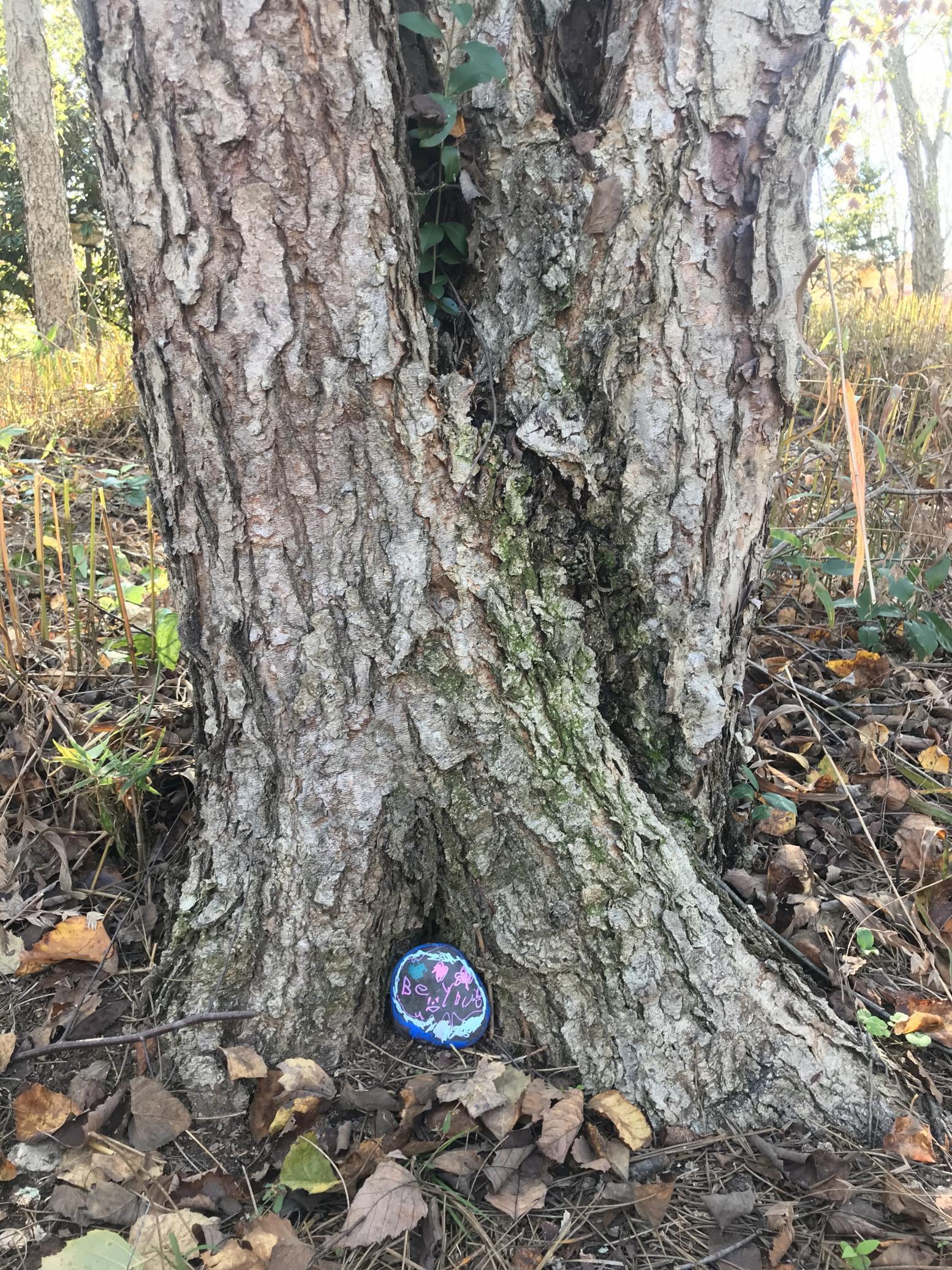 FRC members put their kindness rocks around campus