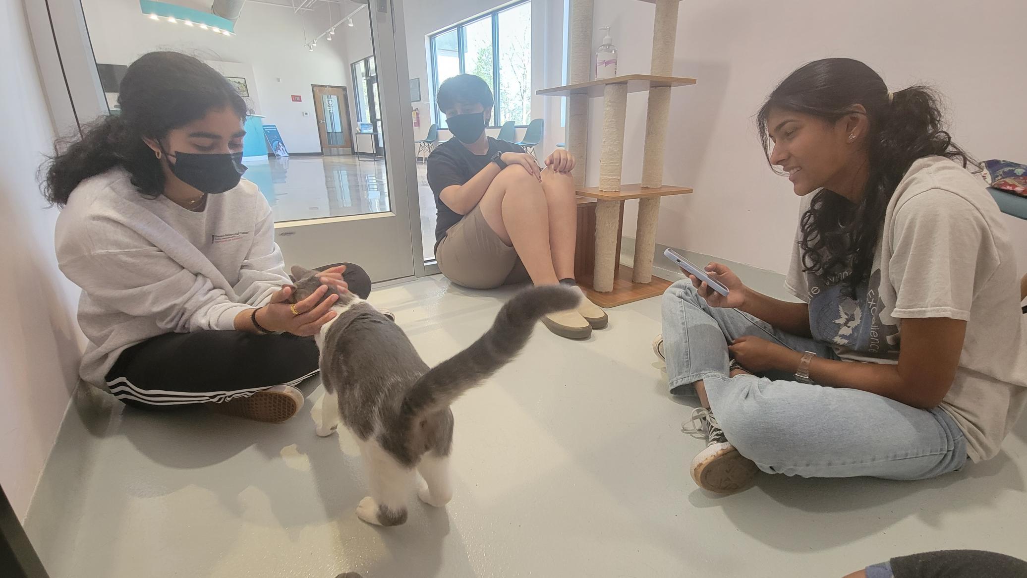 FRC members playing with Cumulus