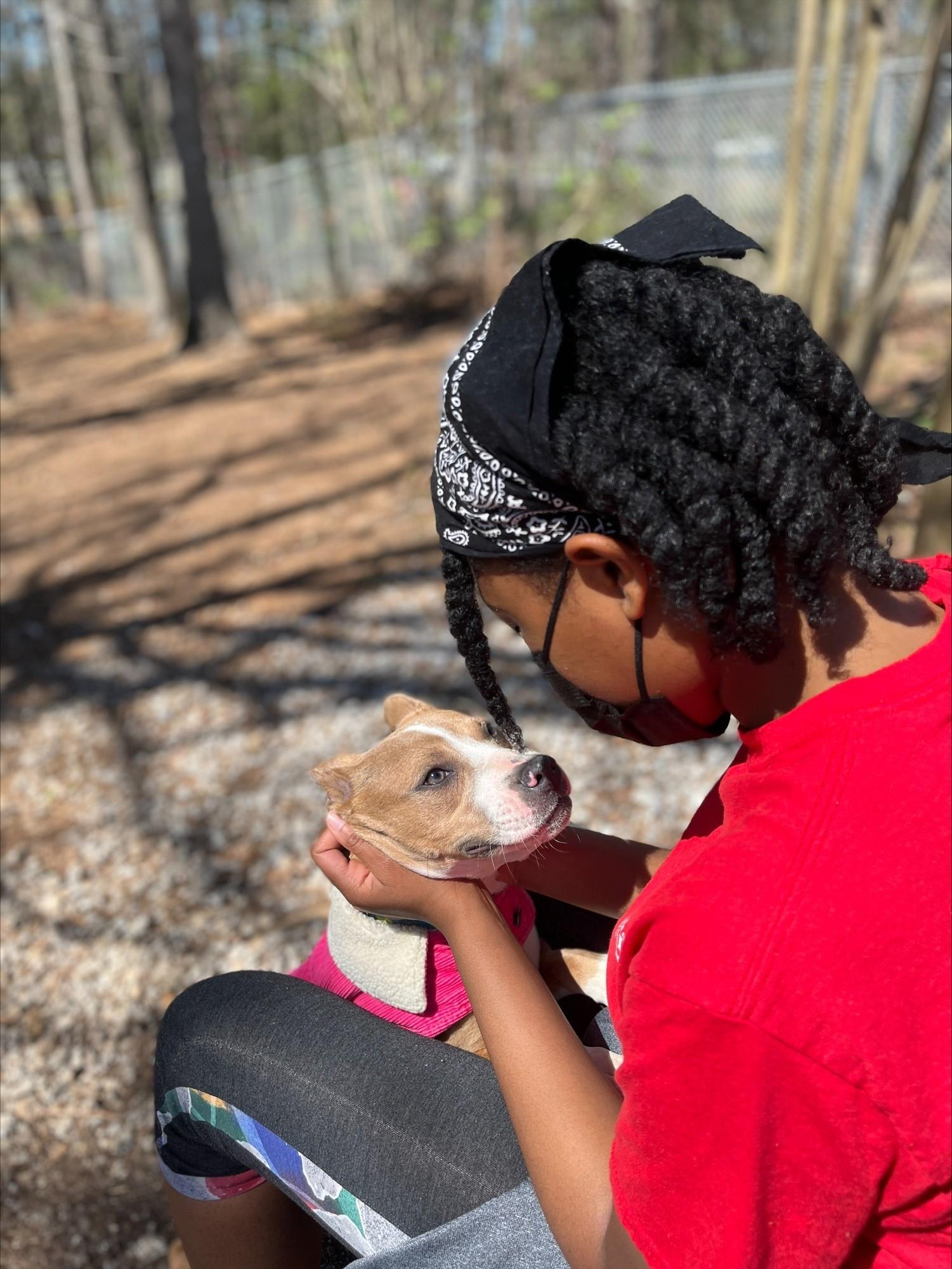 Bani playing with Clover on her walk