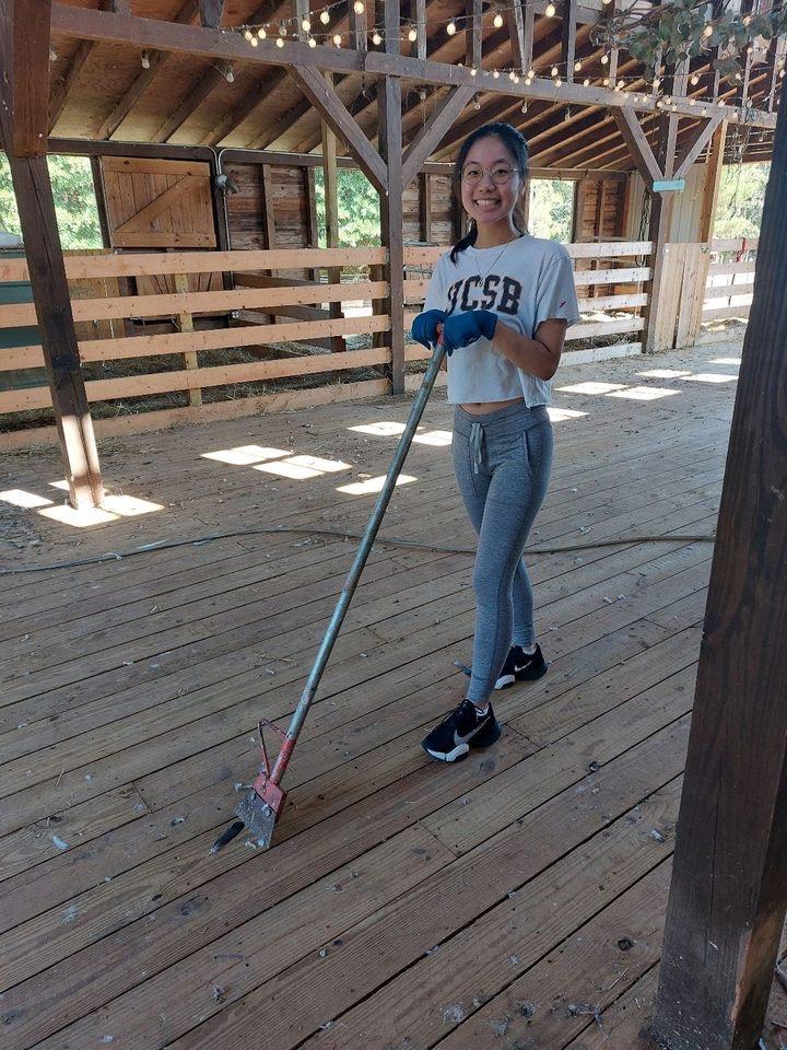 Keeping Sweet Olive Farm Clean