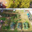 Geography Building Rooftop Garden