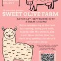 Flyer for event