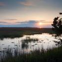 South Sapelo
